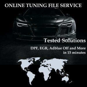 Online Tuning File Service